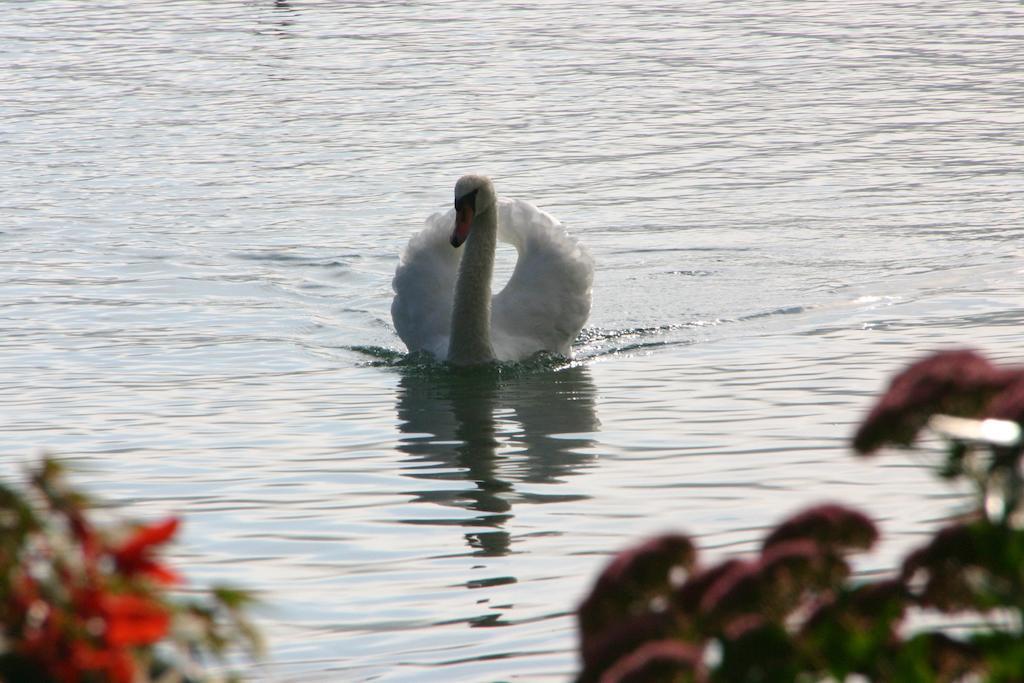 Haus Am See Sankt Kanzian am Klopeiner See Kültér fotó